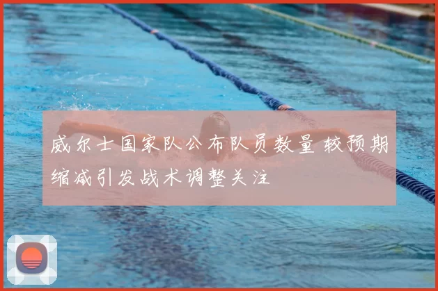 威尔士国家队公布队员数量 较预期缩减引发战术调整关注