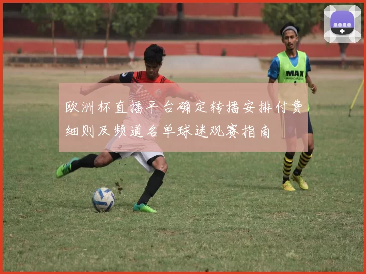 欧洲杯直播平台确定转播安排付费细则及频道名单球迷观赛指南