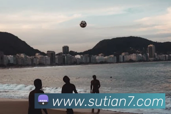 华体网页版登录入口 - 华体(中国)平台生态图